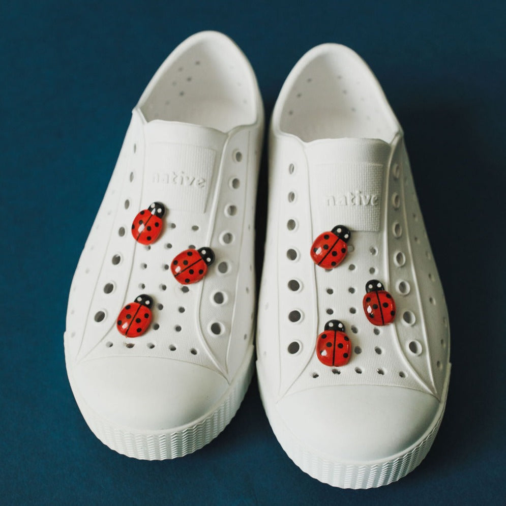 Ladybug