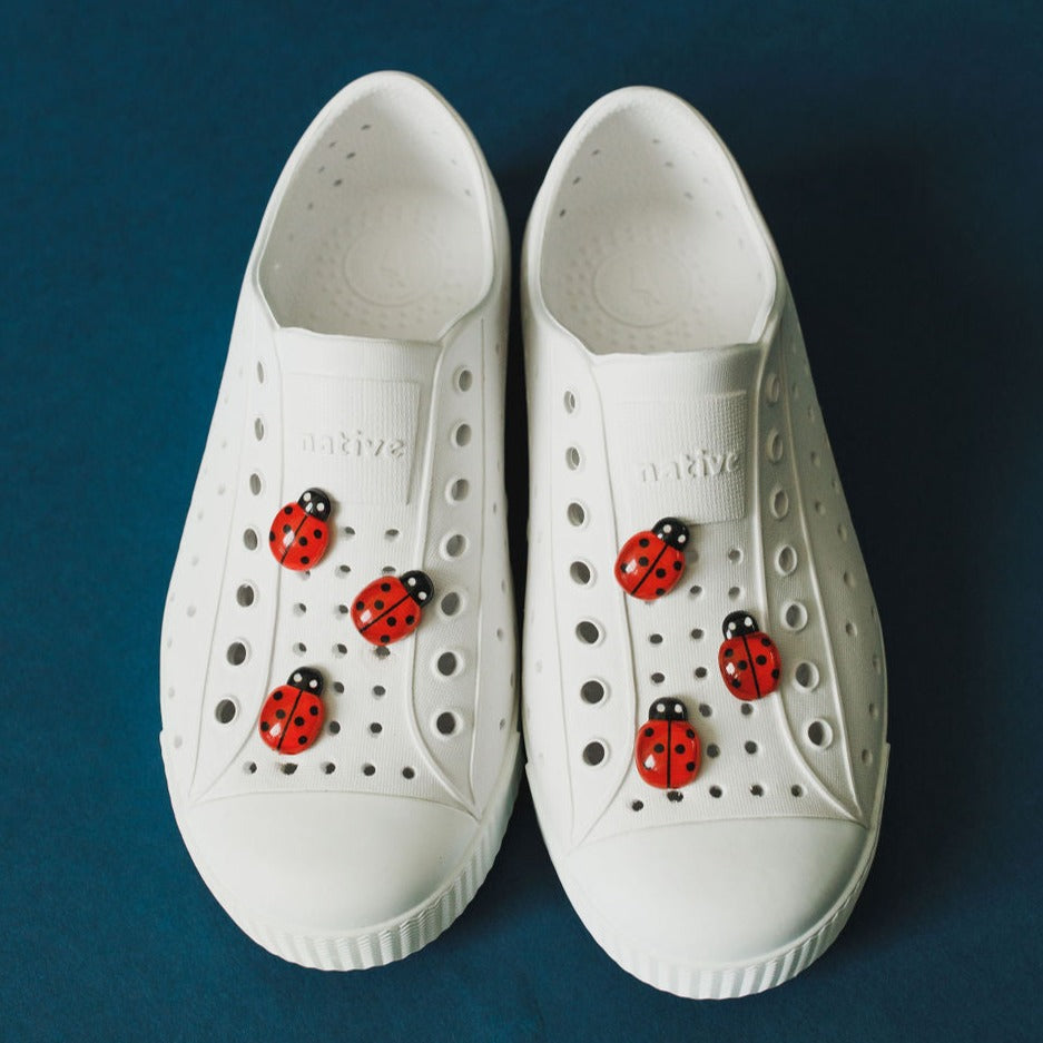Ladybug