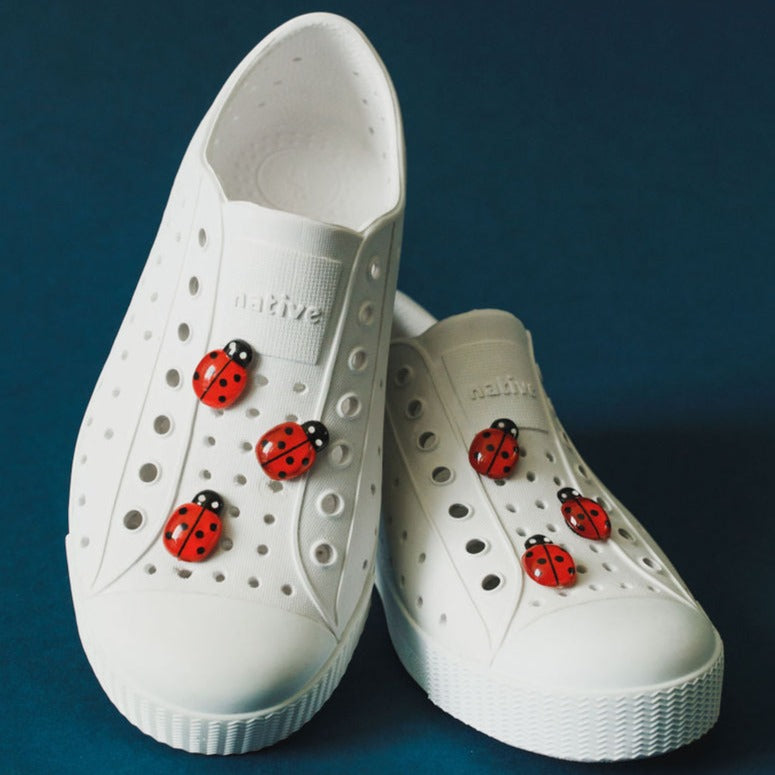 Ladybug